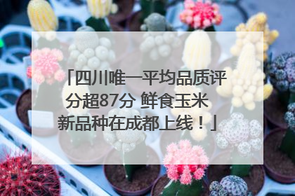 四川唯一平均品质评分超87分 鲜食玉米新品种在成都上线！