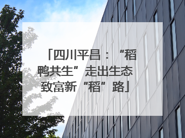 四川平昌：“稻鸭共生”走出生态致富新“稻”路