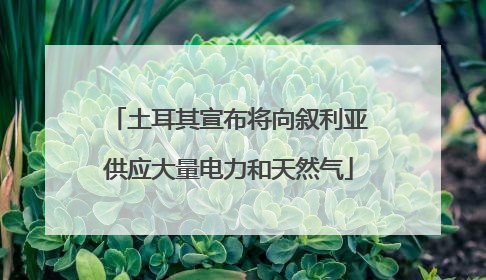 土耳其宣布将向叙利亚供应大量电力和天然气