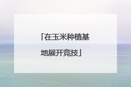 在玉米种植基地展开竞技