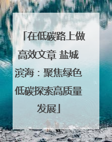 在低碳路上做高效文章 盐城滨海：聚焦绿色低碳探索高质量发展