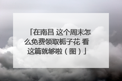 在南昌 这个周末怎么免费领取栀子花 看这篇就够啦（图）