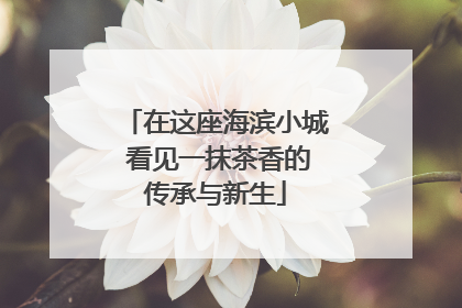 在这座海滨小城 看见一抹茶香的传承与新生