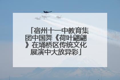 宿州十一中教育集团中国舞《荷叶翩翩》在埇桥区传统文化展演中大放异彩