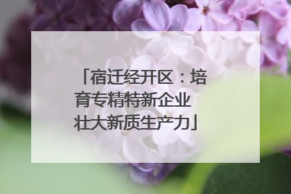 宿迁经开区：培育专精特新企业 壮大新质生产力