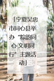 宁夏吴忠市同心县举办“粽韵同心·文明同行”主题活动