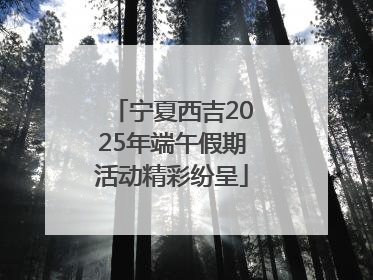 宁夏西吉2025年端午假期活动精彩纷呈