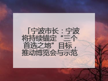 宁波市长:宁波将持续锚定“三个首选之地”目标,推动博览会与示范区互促共进