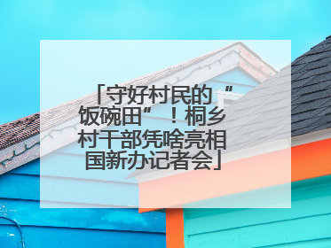 守好村民的“饭碗田”！桐乡村干部凭啥亮相国新办记者会