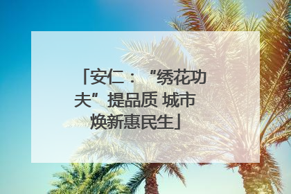 安仁：“绣花功夫”提品质 城市焕新惠民生