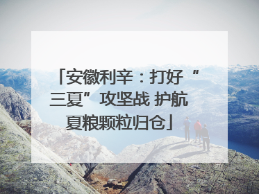 安徽利辛：打好“三夏”攻坚战 护航夏粮颗粒归仓