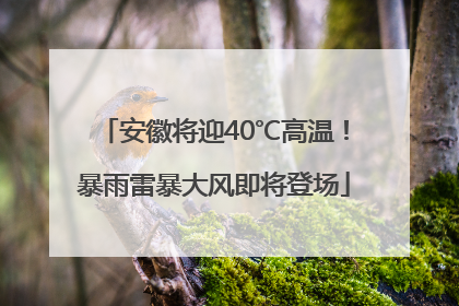 安徽将迎40℃高温！暴雨雷暴大风即将登场