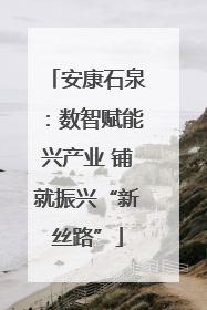 安康石泉：数智赋能兴产业 铺就振兴“新丝路”