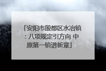 安阳市殷都区水冶镇：八项规定引方向 中原第一镇谱新章