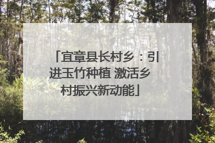 宜章县长村乡：引进玉竹种植 激活乡村振兴新动能