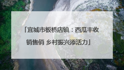 宜城市板桥店镇：西瓜丰收销售俏 乡村振兴添活力