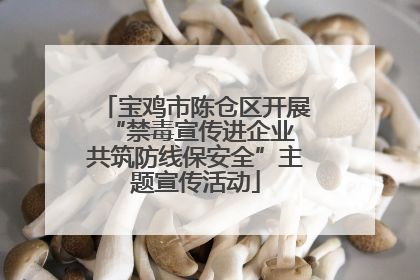 宝鸡市陈仓区开展“禁毒宣传进企业 共筑防线保安全”主题宣传活动