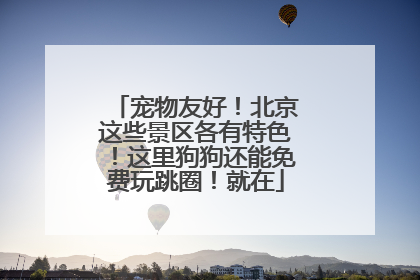 宠物友好！北京这些景区各有特色！这里狗狗还能免费玩跳圈！就在