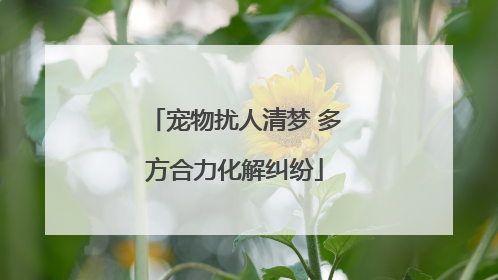 宠物扰人清梦 多方合力化解纠纷