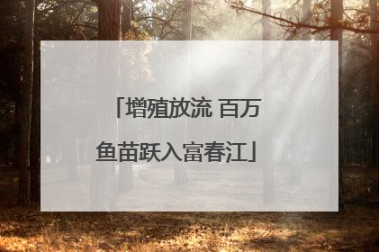 增殖放流 百万鱼苗跃入富春江