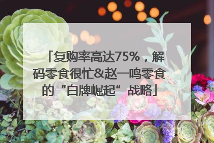 复购率高达75%，解码零食很忙&赵一鸣零食的“白牌崛起”战略