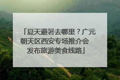 夏天避暑去哪里？广元朝天区西安专场推介会 发布旅游美食线路