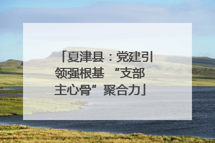 夏津县：党建引领强根基 “支部主心骨”聚合力