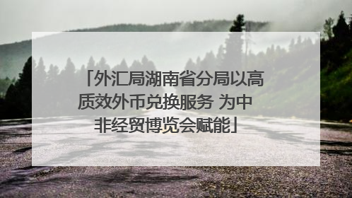 外汇局湖南省分局以高质效外币兑换服务 为中非经贸博览会赋能