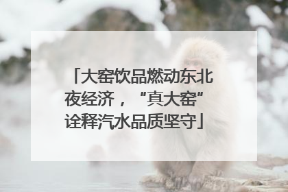 大窑饮品燃动东北夜经济，“真大窑”诠释汽水品质坚守