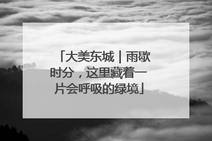 大美东城｜雨歇时分，这里藏着一片会呼吸的绿境