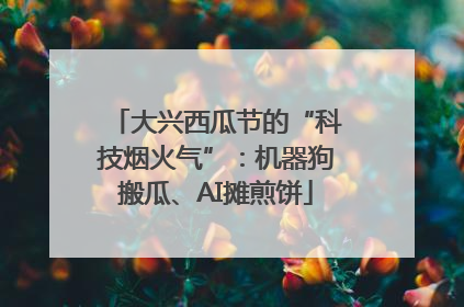 大兴西瓜节的“科技烟火气”：机器狗搬瓜、AI摊煎饼