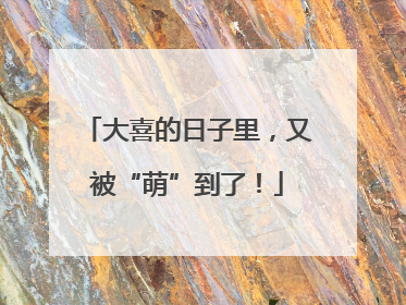 大喜的日子里，又被“萌”到了！