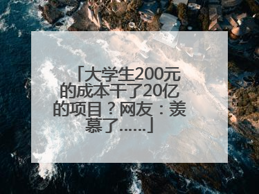 大学生200元的成本干了20亿的项目？网友：羡慕了……
