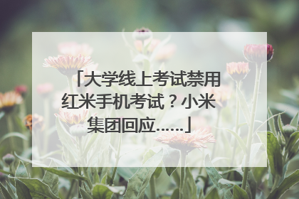 大学线上考试禁用红米手机考试？小米集团回应……