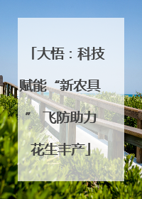 大悟：科技赋能“新农具” 飞防助力花生丰产