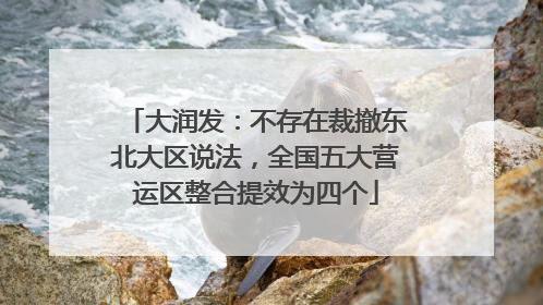 大润发：不存在裁撤东北大区说法，全国五大营运区整合提效为四个