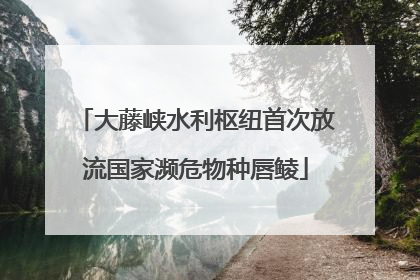 大藤峡水利枢纽首次放流国家濒危物种唇鲮
