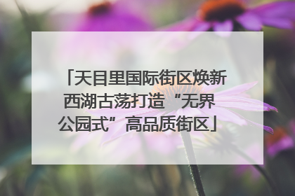 天目里国际街区焕新 西湖古荡打造“无界公园式”高品质街区