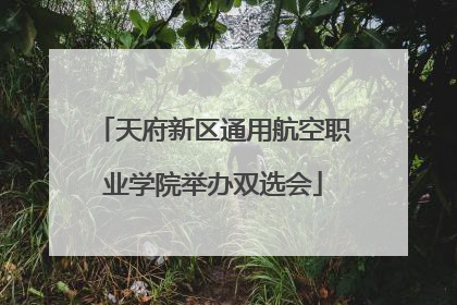 天府新区通用航空职业学院举办双选会