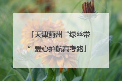 天津蓟州“绿丝带”爱心护航高考路