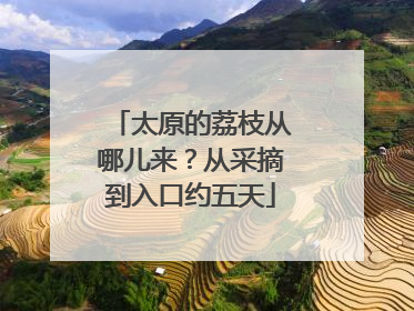 太原的荔枝从哪儿来？从采摘到入口约五天