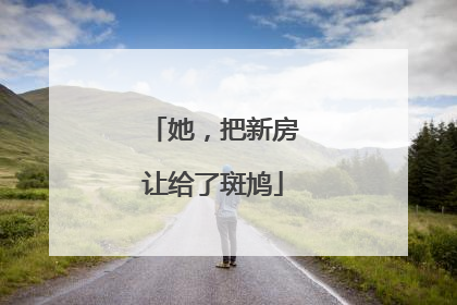 她，把新房让给了斑鸠