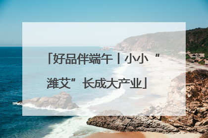 好品伴端午丨小小“潍艾”长成大产业