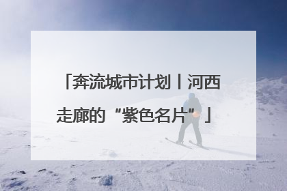奔流城市计划丨河西走廊的“紫色名片”