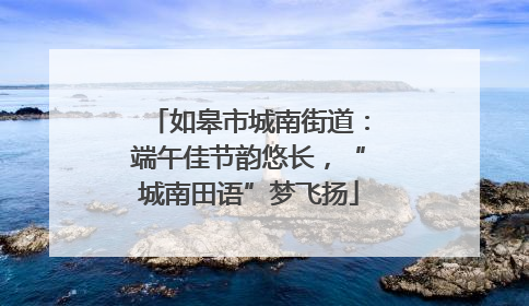 如皋市城南街道：端午佳节韵悠长，“城南田语”梦飞扬