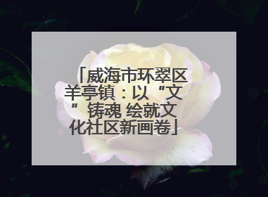 威海市环翠区羊亭镇：以“文”铸魂 绘就文化社区新画卷