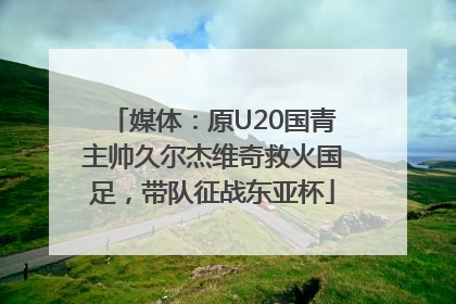 媒体：原U20国青主帅久尔杰维奇救火国足，带队征战东亚杯