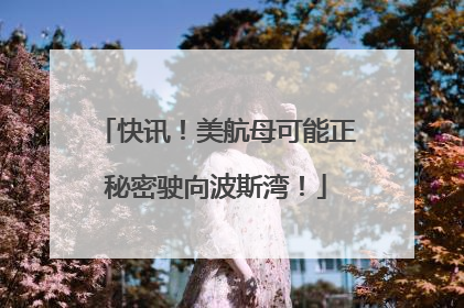 快讯！美航母可能正秘密驶向波斯湾！