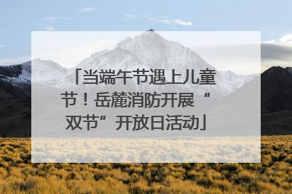 当端午节遇上儿童节！岳麓消防开展“双节”开放日活动