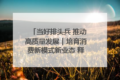 当好排头兵 推动高质量发展｜培育消费新模式新业态 释放经济增长新动能